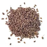 Farë Anise - Image 3