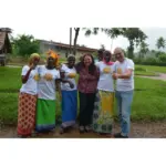 Caj Lemongrass Bio – Energjizues & Freskues Natyral - Image 2