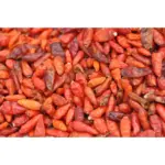 Spec Djegës Cayenne Organik 40g - Image 2